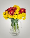 Huge bunch of yellow and red autumn chrysanthemum flowers Royalty Free Stock Photo