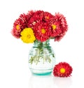 Huge bunch of yellow and red autumn flowers Royalty Free Stock Photo