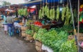 Huge bunches of gigat green beans hang on the counter in the Indonesian street market