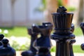 Huge chess board pieces in the garden Royalty Free Stock Photo