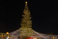 Huge Christmas tree and Cologne Cathedral during Weihnachtsmarkt, Christmas Market in KÃÂ¶ln, Germany.