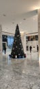 Huge Christmas tree decorated at a office in Gurugram