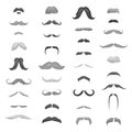 Huge collection mustache retro curly, mustache set. Mustache different colors and forms mustache hair. Mustaches barber