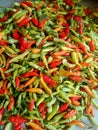 A huge collection of red and green chilies