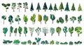 Huge collection of stylized isolated green plants for your illustrations