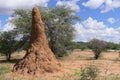 Huge dwelling for termites Royalty Free Stock Photo