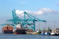 Huge container ship being unloaded with cranes in Antwerp container terminal - all recognizable logos and brands have been removed