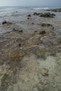 Huge coral rocks and small stones in the ocean on the beach at the tropical island Royalty Free Stock Photo