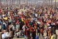 Huge crowd camp at the Kumbh Mela ground