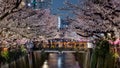 Huge crowds of people celebrating Hanami along the Meguro River, Tokyo Royalty Free Stock Photo