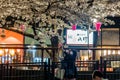 Huge crowds of people celebrating Hanami along the Meguro River, Tokyo Royalty Free Stock Photo