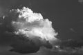 Huge Cumulus cloud in the sky black and white Royalty Free Stock Photo