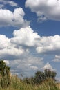 Huge cumulus rain clouds in the sunshine above the field