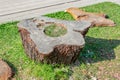 Decorative stump of a large tree in the garden