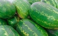 Huge delicious, sweet watermelons in the market Royalty Free Stock Photo