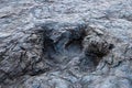 Huge dinosaur footprints, Maragua, Bolivia