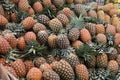 Pineapples at Fruit and Vegetable Market, Municipal Market, Panaji, Goa, India Royalty Free Stock Photo