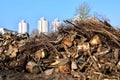 A huge dump of wooden stumps from felled trees on the background of urban development.