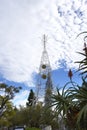 Huge Electric Lights forming a Christmas Tree in Funchal Madeira