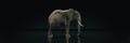 Huge elephant in dark background. 3d rendering