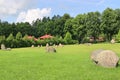 Huge erratic boulders in the megalith park. Big stones lie in the green grass. There are green trees around. Silvarium, a forest p Royalty Free Stock Photo