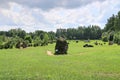 Huge erratic boulders in the megalith park. Big stones lie in the green grass. There are green trees around. Silvarium, a forest p Royalty Free Stock Photo