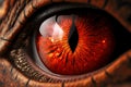 Huge eye red dragons with black narrow pupil