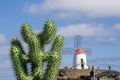 A huge fake cactus plant with a windmill in the background, Jardin de Cactus, Lanzarote, Canary Islands, Spain Royalty Free Stock Photo