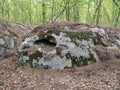 huge fancy stone boulder in the forest