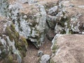 huge fancy stone boulder in the forest