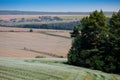 Huge farm fields on the hills are separated by forest strips. A blooming field of buckwheat. Agricultural lands in the Ternopil Royalty Free Stock Photo