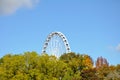 Huge Ferris wheel towering over trees.