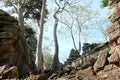 Huge ficus trees grow among the ancient Khmer ruins. Fragments of ancient stone buildings