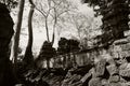 Huge ficus trees grow among the ancient Khmer ruins. Fragments of ancient stone buildings