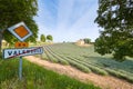 Huge Field of rows of lavender in France, Valensole, Cote Dazur-Alps-Provence, purple flowers, green stems, combed beds Royalty Free Stock Photo