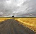 Huge fields of Montana Royalty Free Stock Photo