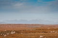 Huge fields and mountains in the background. Blue cloudy sky. Landscape scene in Connemara, county Galway, Ireland. Nobody. Warm