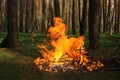 Huge fire in a forest made by someone. Big flame for picnic time in spring Royalty Free Stock Photo