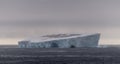 Huge flock of Antarctic Petrels on top of tabular iceberg, Southern Ocean, Antarctica