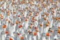 Huge flock of white geese looking in one direction. Royalty Free Stock Photo