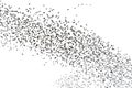 Huge flocks of starlings on white background