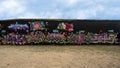 Huge graffiti style mural by multiple artists on `Go Paint Day` at the