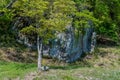 Huge granite metamorphic boulder
