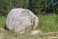 Huge gray stone on a glade