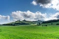 A huge green field of grass under blue sky Royalty Free Stock Photo