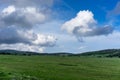 A huge green field of grass under blue sky and white clouds. Royalty Free Stock Photo