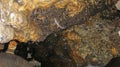 A huge group of bats waits patiently at the exit of the cave at dusk. On the ceiling of the cave, hanging bats are waiting to fly Royalty Free Stock Photo