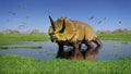 Triceratops horridus dinosaur and a flock of Pterosaurs from the Jurassic era eating water plants in beautiful landscape