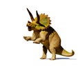 Triceratops horridus dinosaur in action 3d rendering isolated with shadow on white background