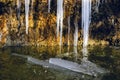 A huge icicle hanging from a rock with moss  which melts and drips into the water Royalty Free Stock Photo